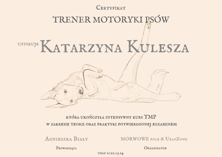 CERTYGIKAT TMP Katarzyna Kulesza